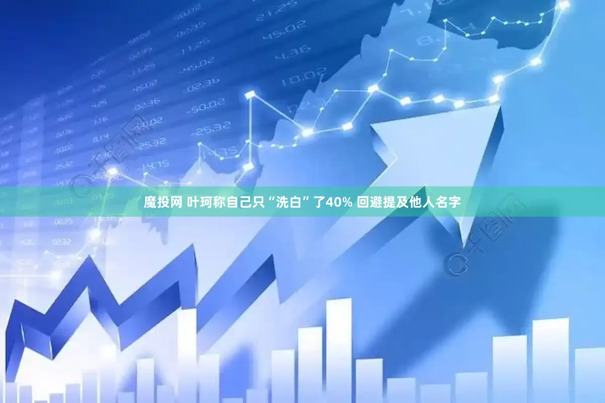 魔投网 叶珂称自己只“洗白”了40% 回避提及他人名字