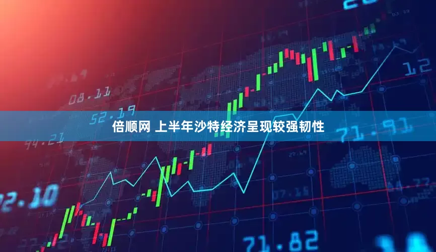倍顺网 上半年沙特经济呈现较强韧性
