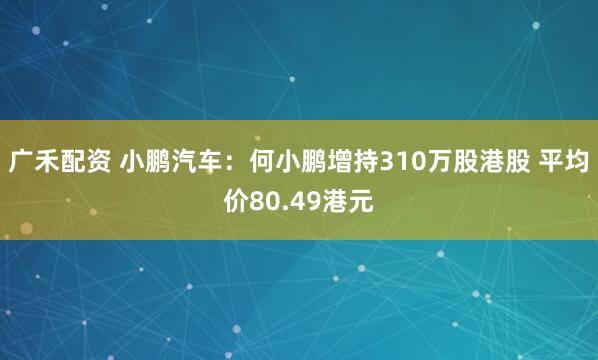 广禾配资 小鹏汽车：何小鹏增持310万股港股 平均价80.49港元