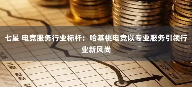 七星 电竞服务行业标杆：哈基桃电竞以专业服务引领行业新风尚
